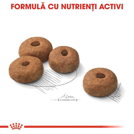 Royal Canin Maxi Sterilised Adult – Hrană Uscată pentru Câini de Talie Mare Sterilizați – 12 kg